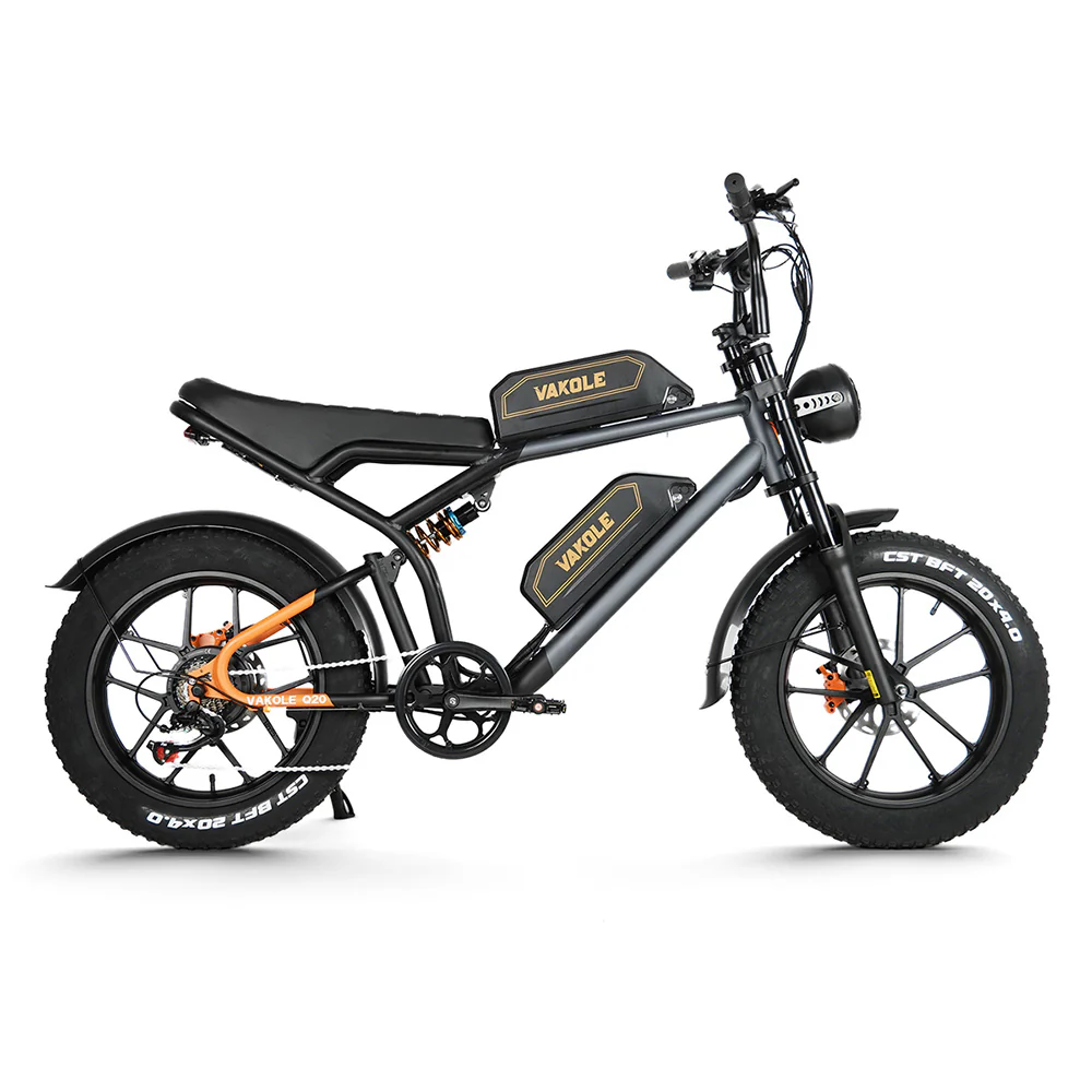 Vakole Q20 750W 20 Fat Bike E-Mountainbike Fully mit 20Ah*2 Dual Samsung Akkus E-MTB