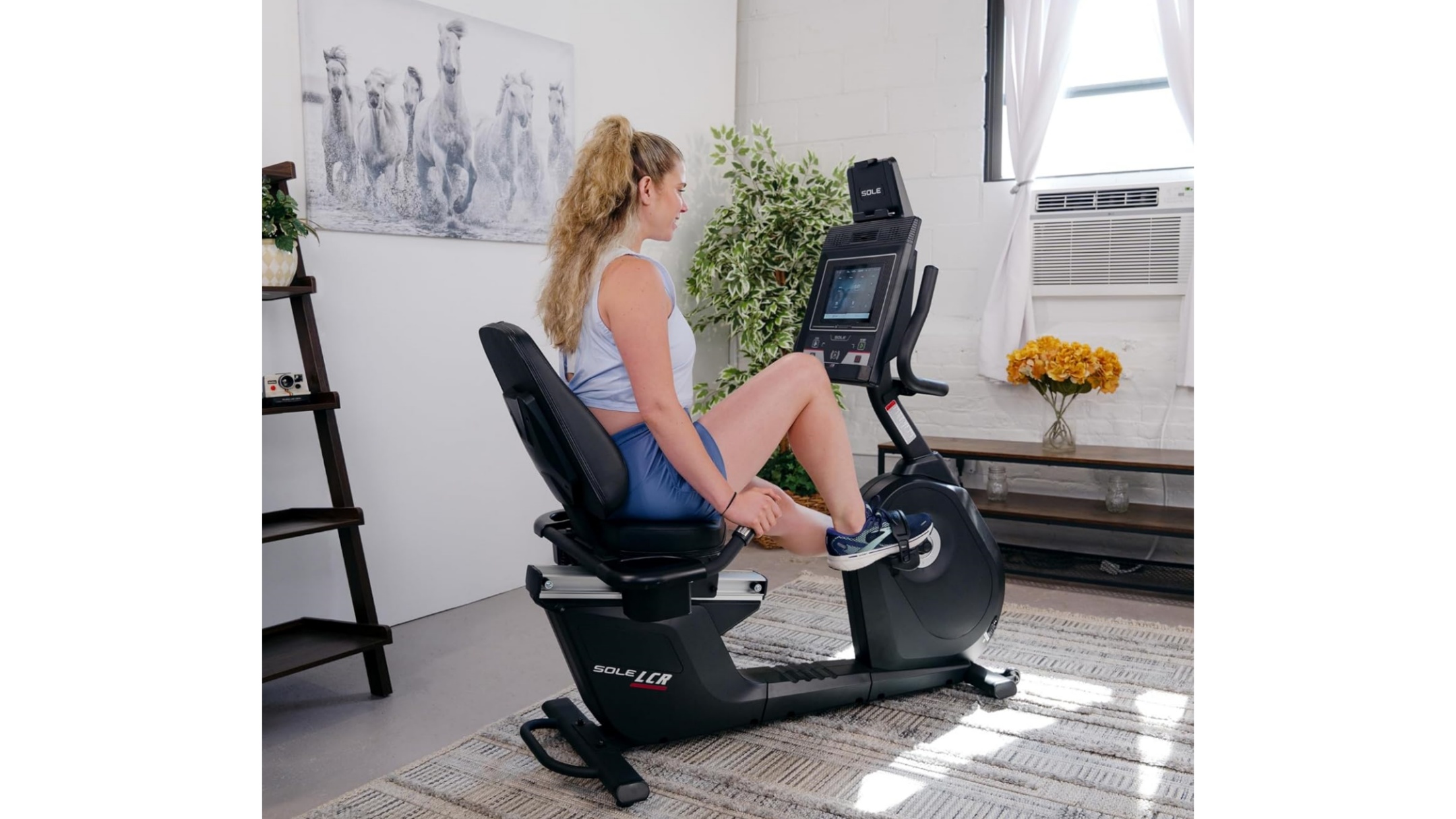 Recumbent Exercise Bikes