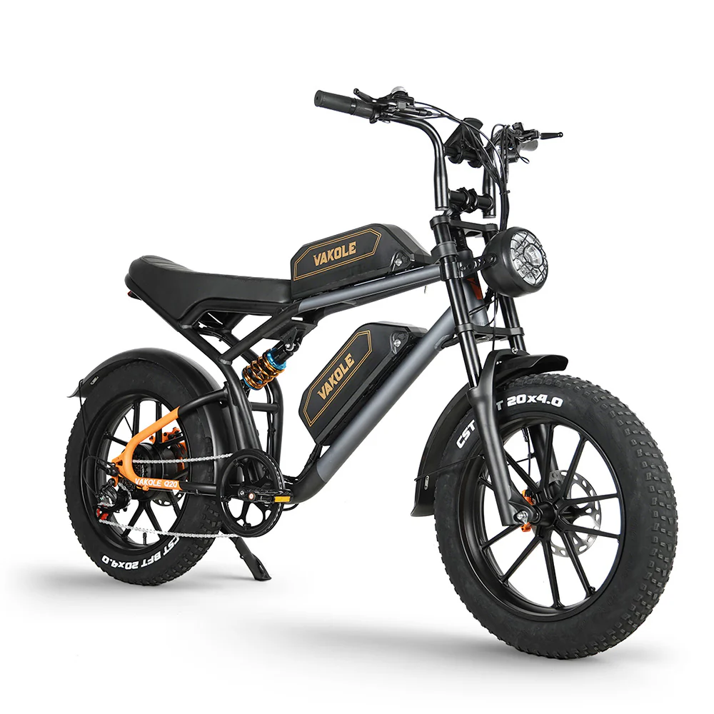 Vakole Q20 750W 20 Fat Bike E-Mountainbike Fully mit 20Ah*2 Dual Samsung Akkus E-MTB